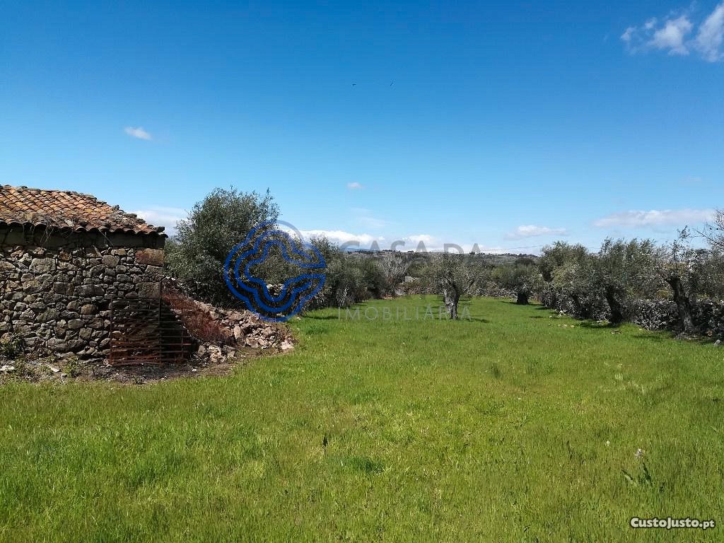 5 Schlafzimmer Gebäude in Oledo, Portugal, Nr. 74660