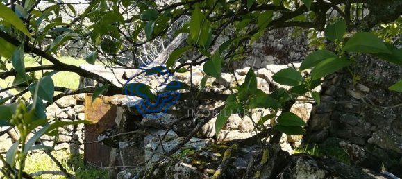 5 Schlafzimmer Gebäude in Oledo, Portugal, Nr. 74660 5