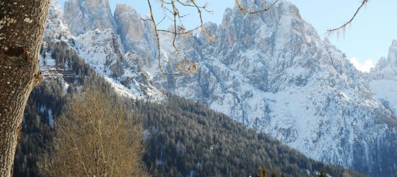 3-Zimmer Wohnung in Primiero San Martino di Castrozza, Italy, Nr. 169014 5