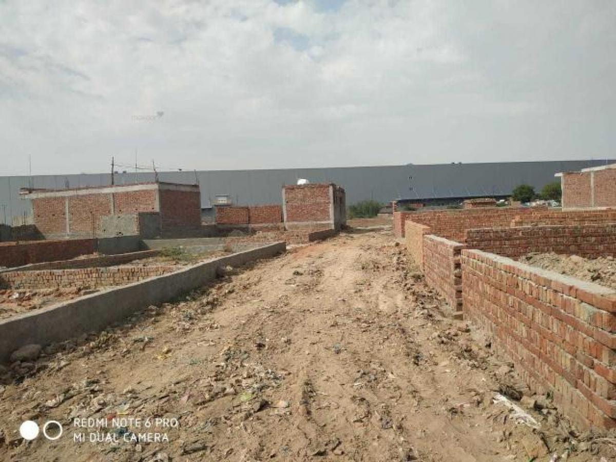 Terrain à Noida, India No. 35962