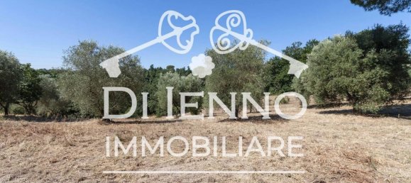 Land in Sacrofano, Italy No. 331072 5