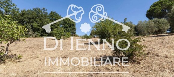 Land in Sacrofano, Italy No. 331072 20