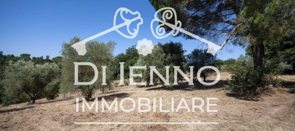 Land in Sacrofano, Italy No. 331072 6