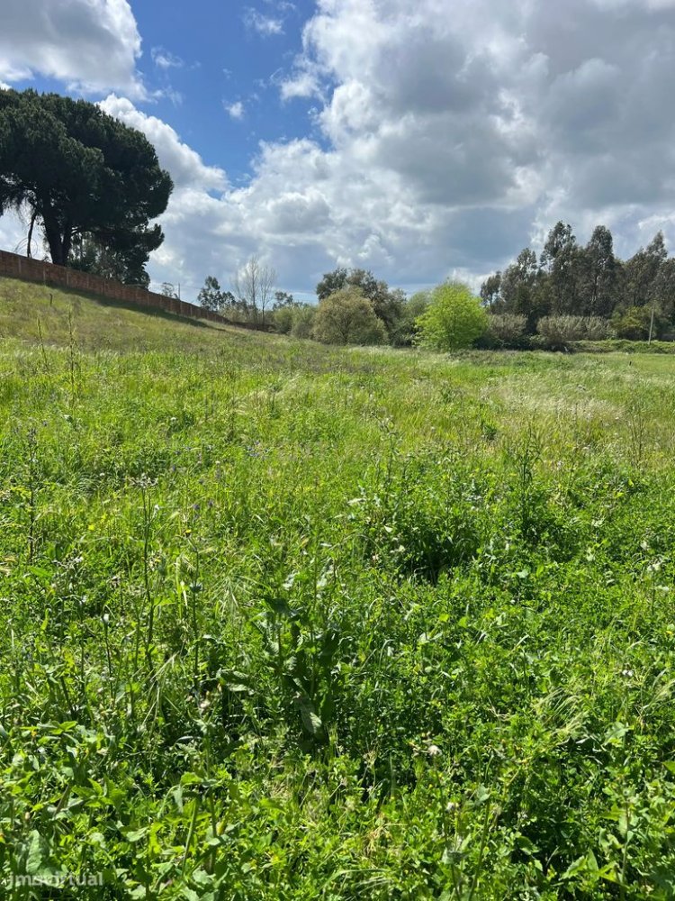 5090m² Land in Vendas Novas, Portugal No. 332445