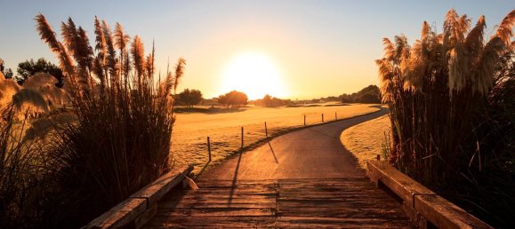 3 bedrooms Villa in Pilar de la Horadada, Spain No. 6440 14