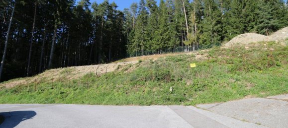 2458m² Land in Ferndorf, Austria No. 76785 3