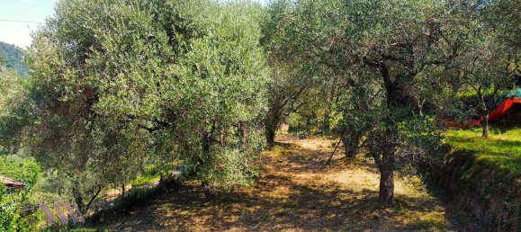 5-Zimmer Haus in Quiliano, Italy, Nr. 300749 42