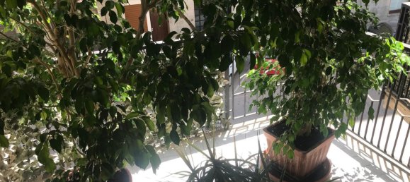 Apartamento T4 em Cagliari, Italy N.º 328906 17