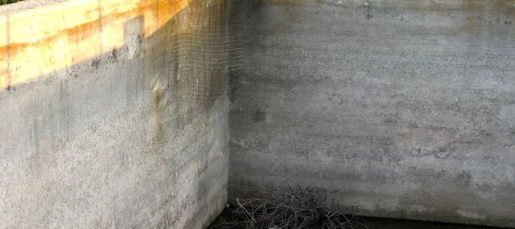 Terrain à Polignano a Mare, Italy 16378m² No. 107737 13