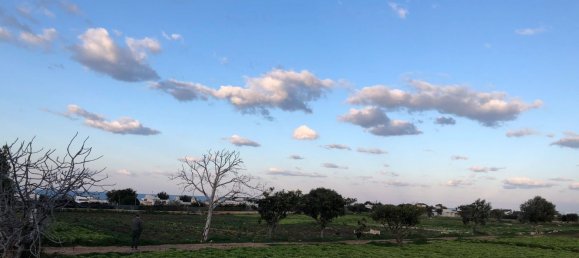 Terrain à Polignano a Mare, Italy 16378m² No. 107737 12