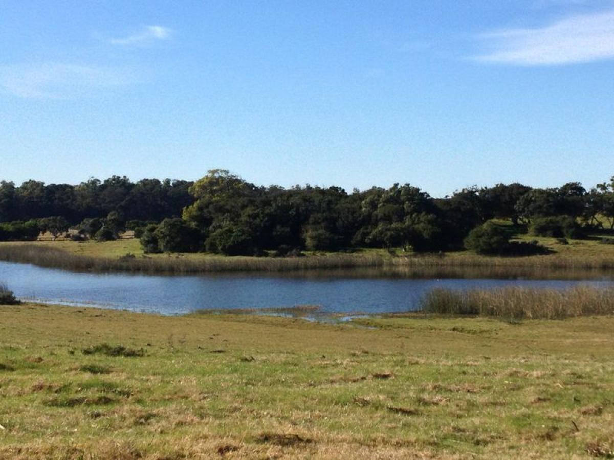  Farm in Maldonado, Uruguay No. 14520