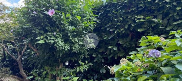 3 rooms Apartment in Viterbo, Italy No. 273240 33