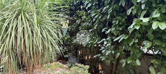 3 rooms Apartment in Viterbo, Italy No. 273240 31