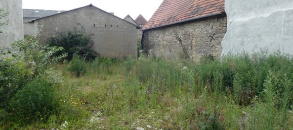 Terreno en Alzey-Worms, Germany No. 219420 2