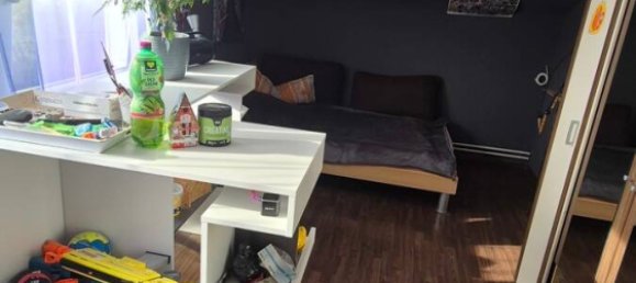 Propiedad comercial de 5 dormitorios en Waldshut, Germany No. 30485 13