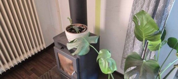 Propiedad comercial de 5 dormitorios en Waldshut, Germany No. 30485 8