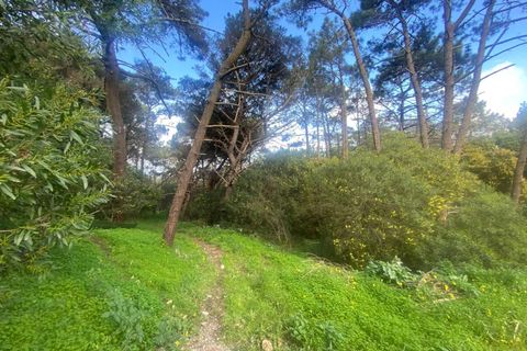  Land in Colares, Portugal No. 249307