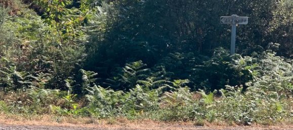 Terreno em Langon, France N.º 318781 3