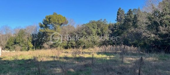 1137m² Land in Montpellier, France No. 346200 3