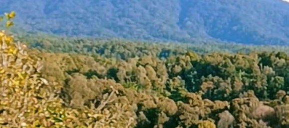  قطعة أرض في Buleleng, Indonesia 36300متر مربع رقم 4341 3