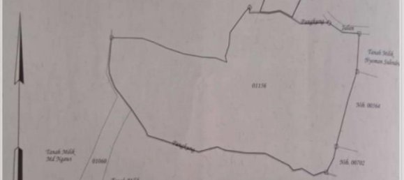  قطعة أرض في Buleleng, Indonesia 36300متر مربع رقم 4341 7