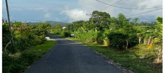  قطعة أرض في Buleleng, Indonesia 36300متر مربع رقم 4341 6