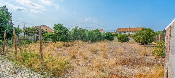 12 bedrooms House in Benfica do Ribatejo, Portugal No. 57658 13