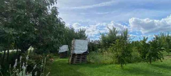 Grundstück in Ravenna, Italy 2000m², Nr. 293052 7