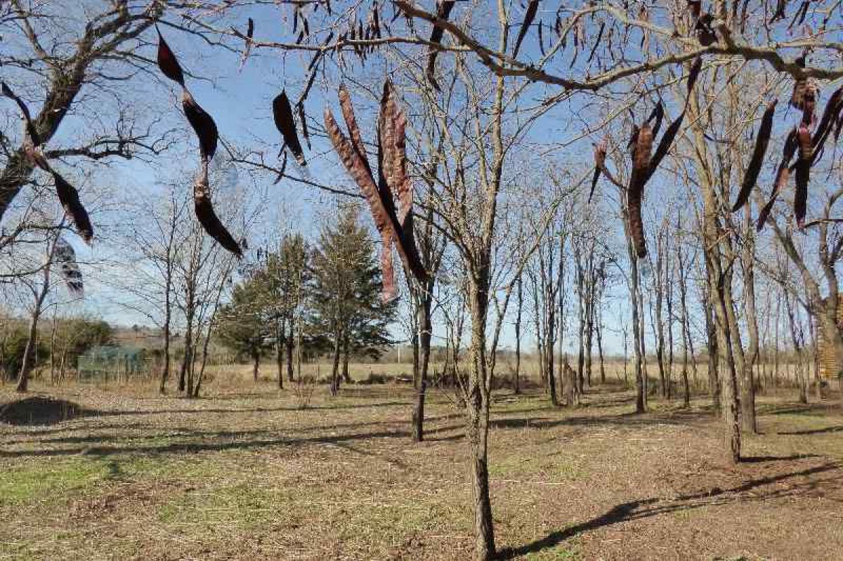  قطعة أرض في Cordoba, Argentina رقم 42821