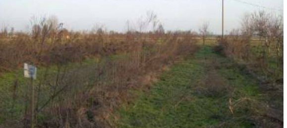 6 rooms Building in Semiana, Italy No. 268304 42