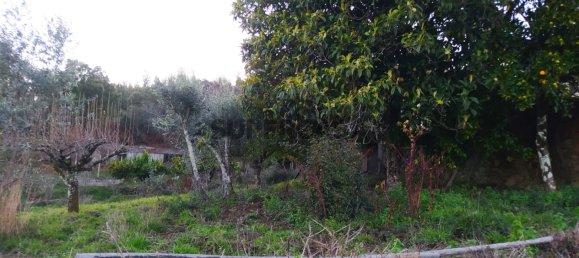 3 bedrooms House in Alvares, Portugal No. 167620 41