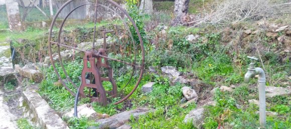 3 bedrooms House in Alvares, Portugal No. 167620 40