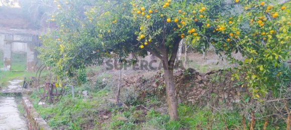 3 bedrooms House in Alvares, Portugal No. 167620 28