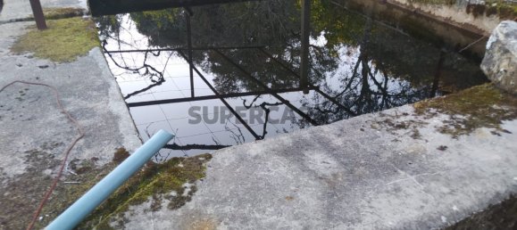 3 bedrooms House in Alvares, Portugal No. 167620 29