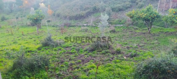 3 bedrooms House in Alvares, Portugal No. 167620 33