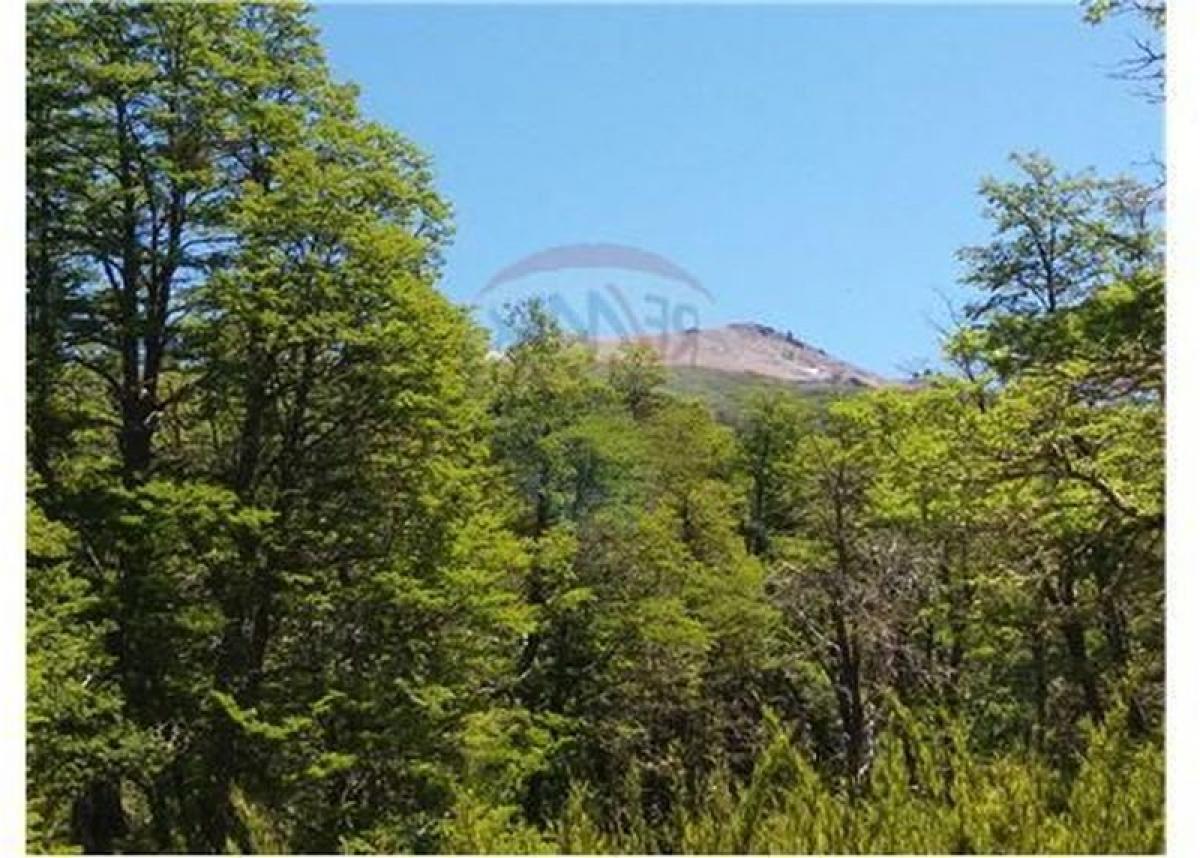  Land in Neuquen, Argentina No. 45017