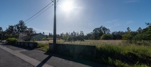 2 bedrooms House in Ferreira a Nova, Portugal No. 178011 18