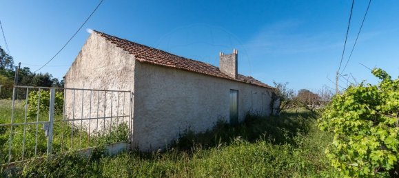 2 bedrooms House in Ferreira a Nova, Portugal No. 178011 2