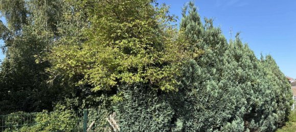 Таунхаус с 4 спальнями в Клеве, Германия № 312041 19