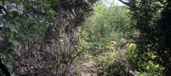 Таунхаус с 4 спальнями в Клеве, Германия № 312041 17