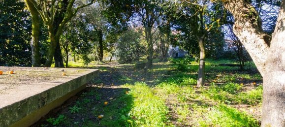 3 Schlafzimmer Haus in Carrazedo, Portugal, Nr. 167525 32