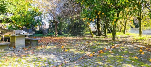 3 Schlafzimmer Haus in Carrazedo, Portugal, Nr. 167525 7