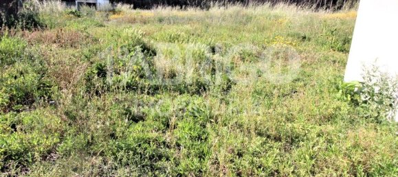 Casa de 7 dormitorios en Leiria, Portugal No. 152720 46