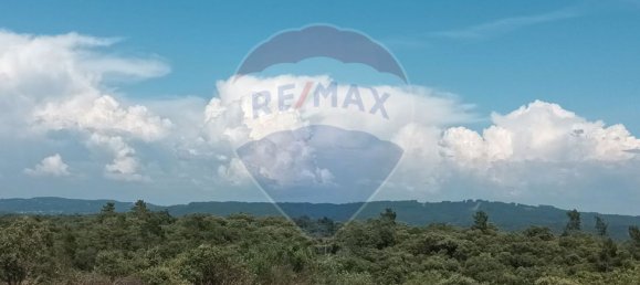 3 chambres Maison à Ferreira do Zezere, Portugal No. 16079 11