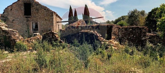 3 chambres Maison à Ferreira do Zezere, Portugal No. 16079 2