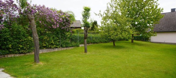 5-salle Maison à Rastenfeld, Austria No. 169232 7