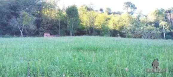 Дом с 2 спальнями в Пилонья, Испания № 143636 8