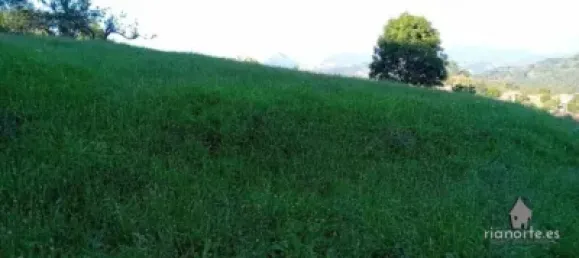 Дом с 2 спальнями в Пилонья, Испания № 143636 3