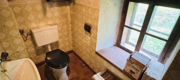 Дом с 10 комнатами в Нойберг ан дер Мюрц, Австрия № 218323 36