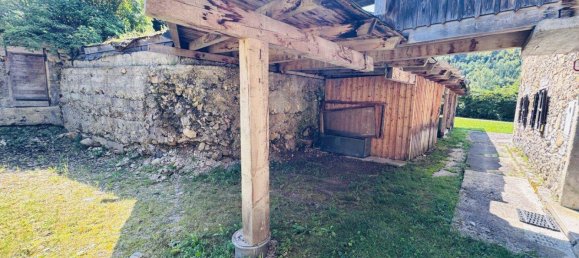 Дом с 10 комнатами в Нойберг ан дер Мюрц, Австрия № 218323 8